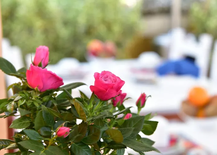 Bed & Breakfast Quodlibet Roma